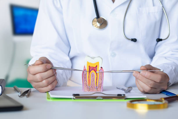Best Knocked-Out Tooth (Avulsed Tooth) Treatment in Clio, AL